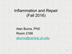 Dr Burns Inflammation and Repair 2016 (2 lectures)