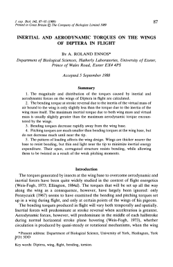 INERTIAL AND AERODYNAMIC TORQUES ON THE WINGS OF