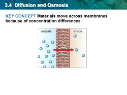 3.4 Diffusion and Osmosis