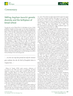 SNPing Aegilops tauschii genetic diversity and the birthplace of