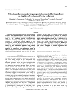 Orienting and avoidance turning are precisely computed by the
