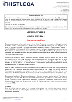 MICROBIOLOGY LEGEND CYCLE 36 ORGANISM 1 Enterococcus