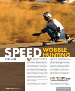 Speed Wobble - Carver Skateboards
