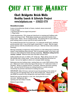 Strawberry Jam - Healthy Shasta