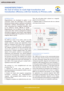 MAGNETOFECTION&trade;, the tool of choice to reach high