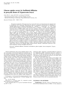 Glucose Uptake Occurs by Facilitated Diffusion in Procyclic forms of