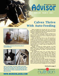 Calves Thrive With Auto-Feeding