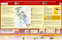 here. - Archaeology Southwest