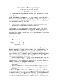 Topic and focus in Bantu comparative syntax