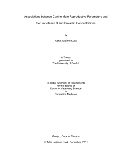 Associations between Canine Male Reproductive