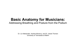 Basic Anatomy for Musicians