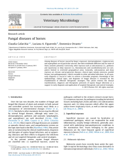Fungal diseases of horses - Dipartimento di Medicina veterinaria