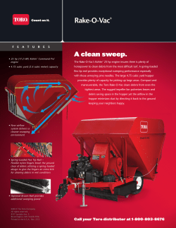 Rake-O-Vac&reg;