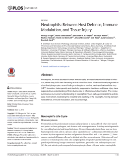 Neutrophils: Between Host Defence, Immune Modulation, and