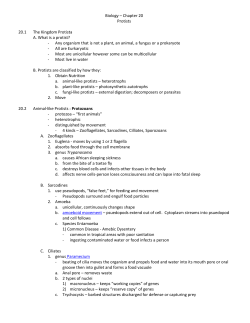 Biology &ndash; Chapter 20 Protists 20.1 The Kingdom Protista A. What is