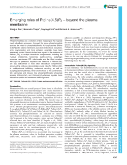 Emerging roles of PtdIns(4,5)P2 &ndash; beyond the plasma membrane