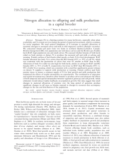 Nitrogen allocation to offspring and milk production in a capital