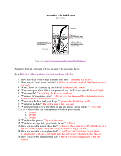 Interactive Hair Web Lesson - Easy Peasy All-in
