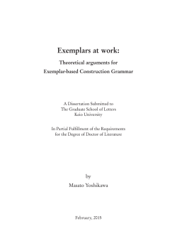 Exemplars at work : theoretical arguments for exemplar
