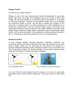 Nitrogen-Fixation - Collier County Extension Office