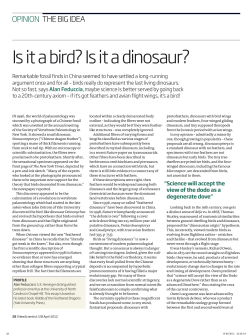 Is it a bird? Is it a dinosaur?