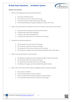 Complete IB exam style questions