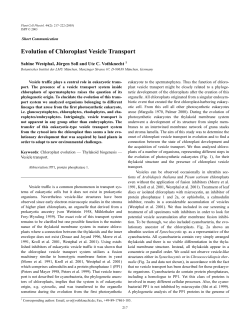 Evolution of Chloroplast Vesicle Transport