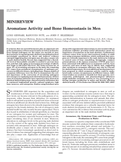 MINIREVIEW Aromatase Activity and Bone Homeostasis in Men