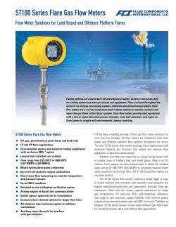 ST100 Series Flare Gas Flow Meters
