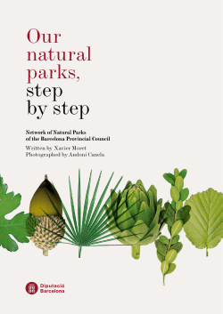 Our naturals parks, step by step