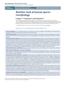 Another look at human sperm morphology