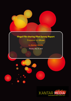 Illegal File-sharing Pilot Survey Report