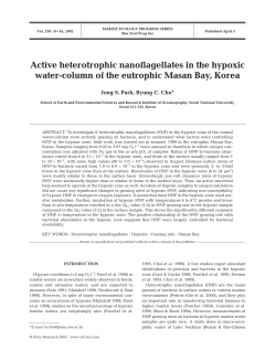 Active heterotrophic nanoflagellates in the hypoxic water