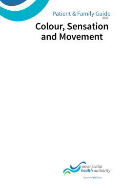 Colour, Sensation and Movement