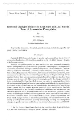 Seasonal Changes of Specific Leaf Mass and Leaf Size in Trees of