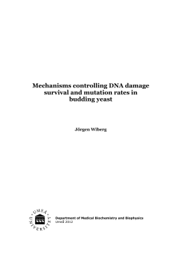 Mechanisms controlling DNA damage survival and
