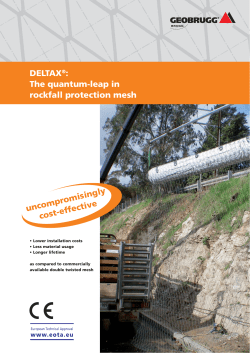 DELTAX&reg;: The quantum-leap in rockfall protection mesh