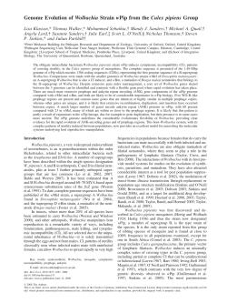 Genome Evolution of Wolbachia Strain wPip from the Culex pipiens