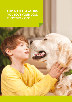 FOR ALL THE REASONS YOU LOVE YOUR DOG, THERE`S