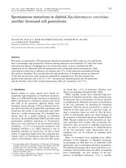 Spontaneous mutations in diploid Saccharomyces cerevisiae