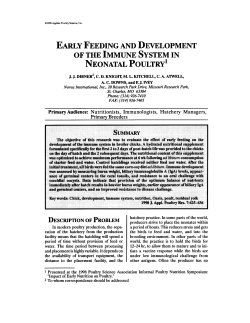 early feeding and development of the immune system in neonatal