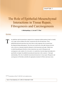 Chapter 7: The Role of Epithelial