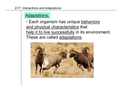 Adaptations: Each organism has unique behaviors and physical