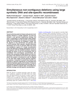 Simultaneous non-contiguous deletions using large synthetic DNA