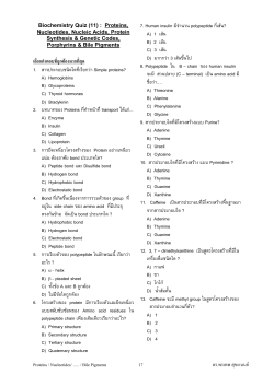 Quiz 11--Proteins, Nucleotides, Nucleosides, Nucleic