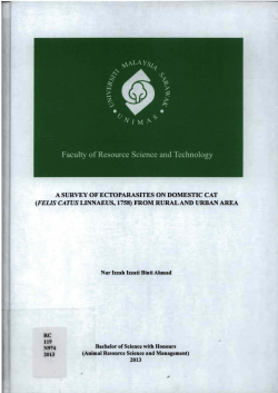 A SURVEY OF ECTOPARASITES ON DOMESTIC CAT (FELIS