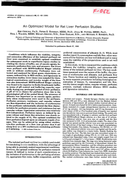 An Optimized Model for Rat Liver Perfusion Studies