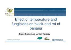 Effect of temperature and fungicides on black-end rot