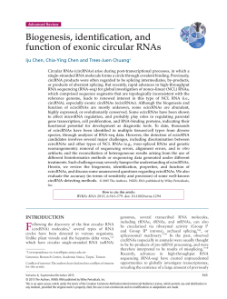 Biogenesis, identification, and function of exonic circular RNAs