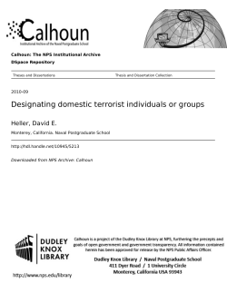 Designating domestic terrorist individuals or groups